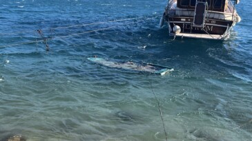 Bodrum’da fırtına; ağaçlar devrildi, balıkçı teknesi battı