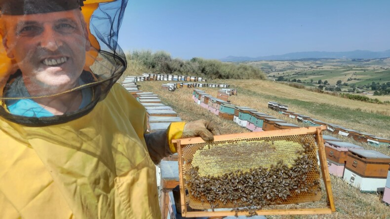 Samsun’da yetiştirdiği kestane balı ile ülkesi Bosna Hersek’te altın madalya kazandı