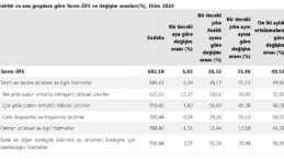 TÜİK: Tarım ürünleri üretici fiyatları arttı